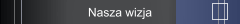 Nasza wizja