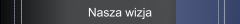 Nasza wizja